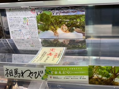 激レア！ 2002年ワールドカップ 朝日新聞号外セット おしい
