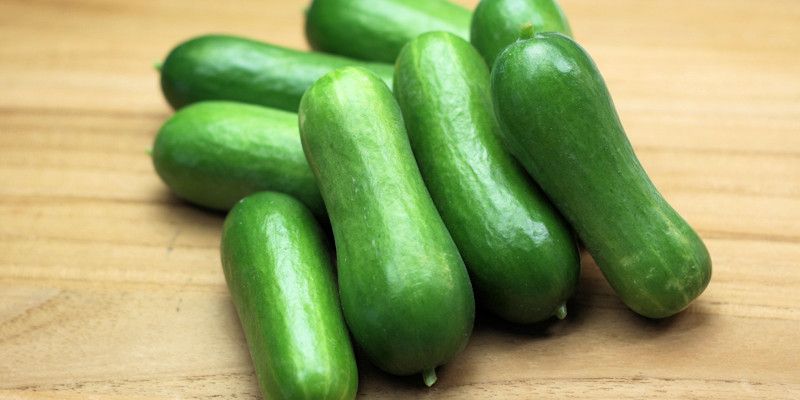 ミニきゅうり「サラタルック」 | 笑顔旬鮮野菜市便り | みんなで食を