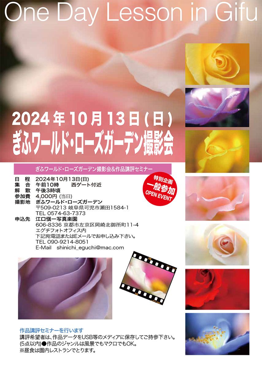 TOP | 江口愼一オフィシャルサイト