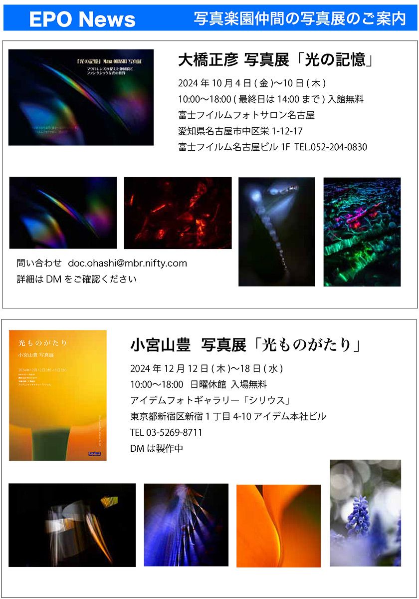 TOP | 江口愼一オフィシャルサイト