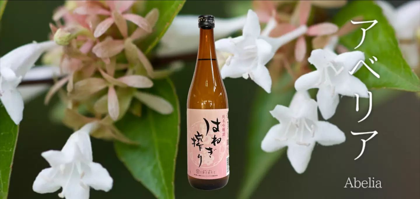 花酵母純米吟醸酒 特集 | はねぎ搾りの酒蔵 吉田屋ブログ | はねぎ搾り