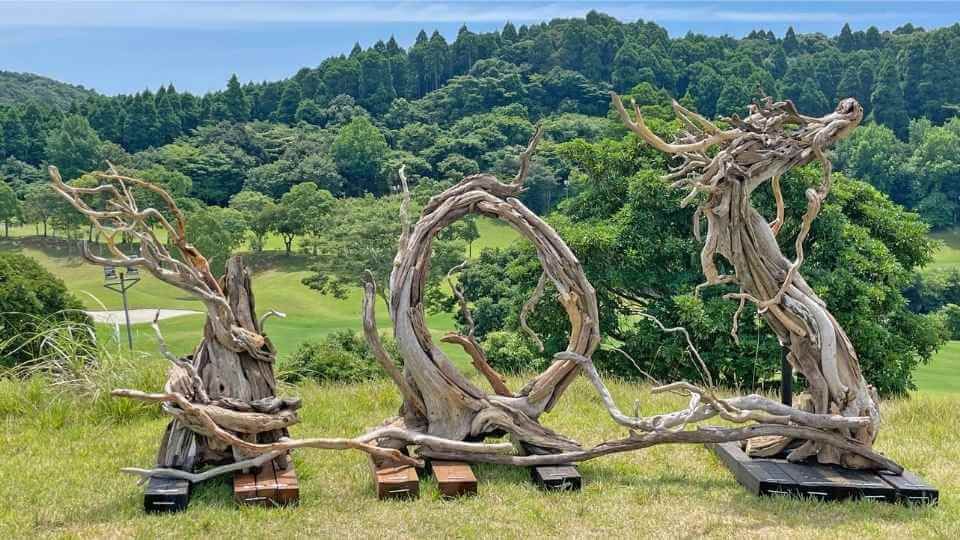 躍動感あふれる流木アート「龍」 | camel_ニュース | CamelResort
