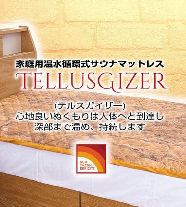 TELLUSGIZER | What
