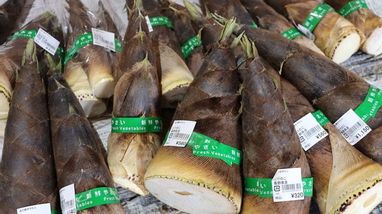 たけのこ | ブログ | 木曽川源流の里「きそむら道の駅」