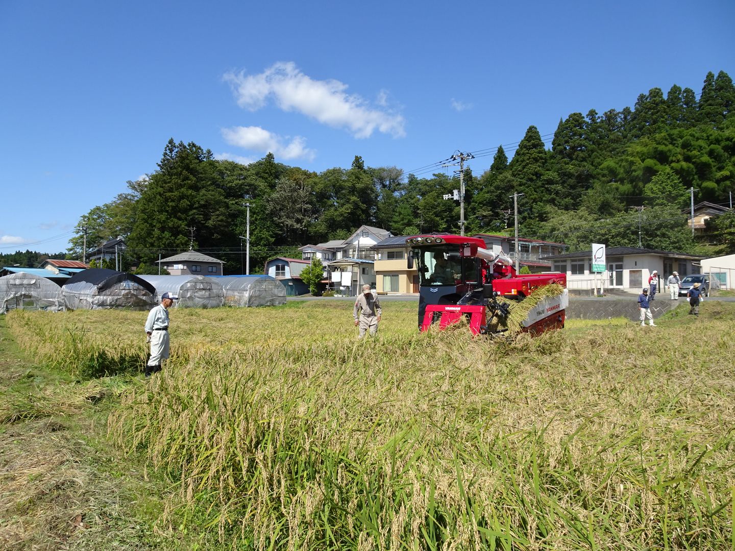 農事組合法人ファーム小梨ブログ・お知らせ一覧 | ファーム小梨
