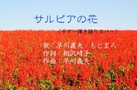 サルビアの花（早川義夫、もとまろ） | ニライの夢ブログ | dreams