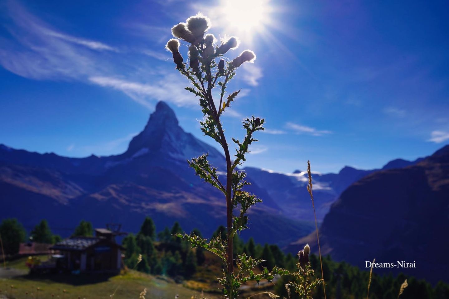 ツェルマット到着後スネガ展望台へ | ニライの夢ブログ | dreams-nirai