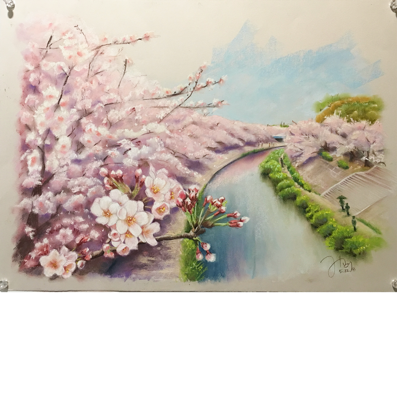 ぜいたく桜並木 イラスト 美しい花の画像