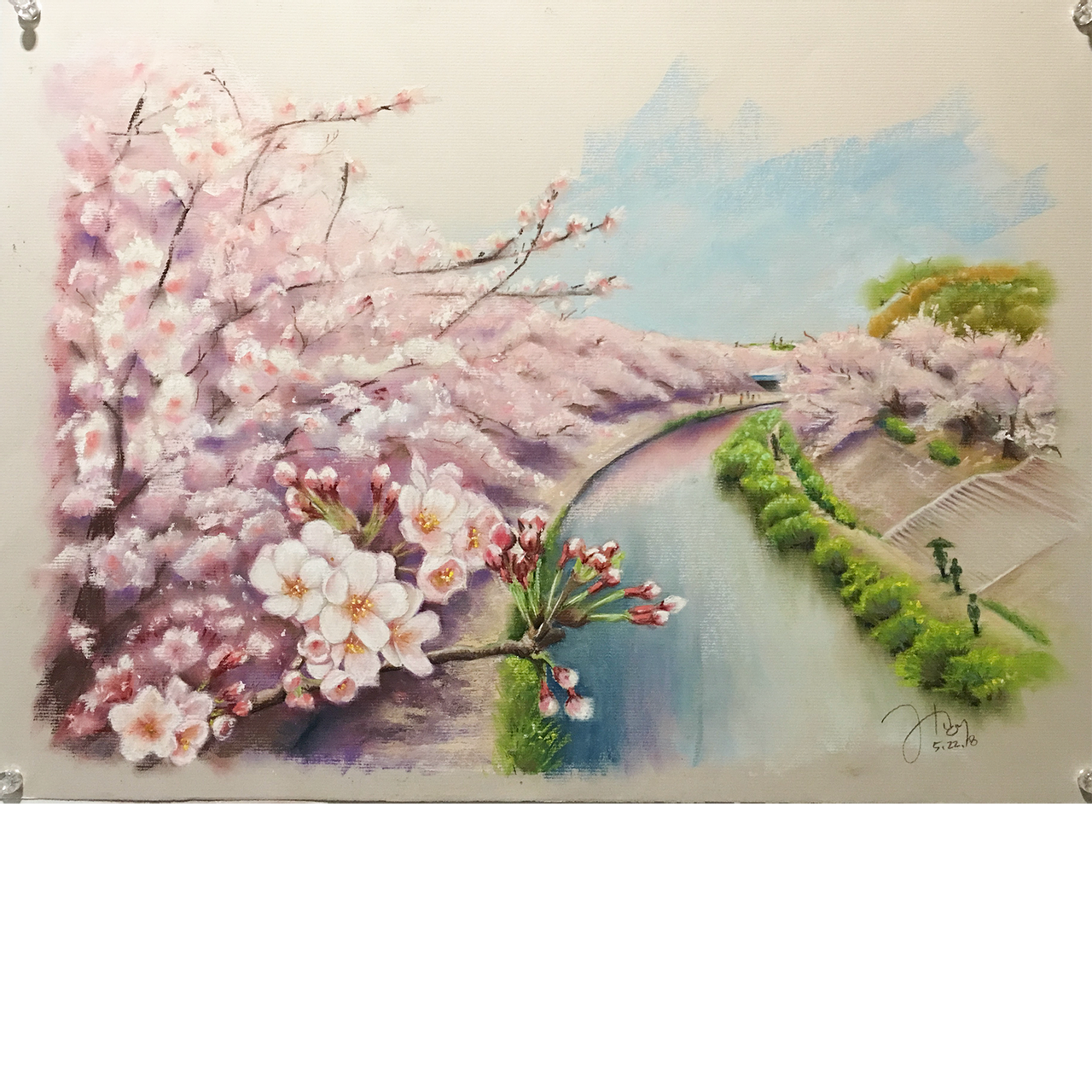 桜 イラスト Palette