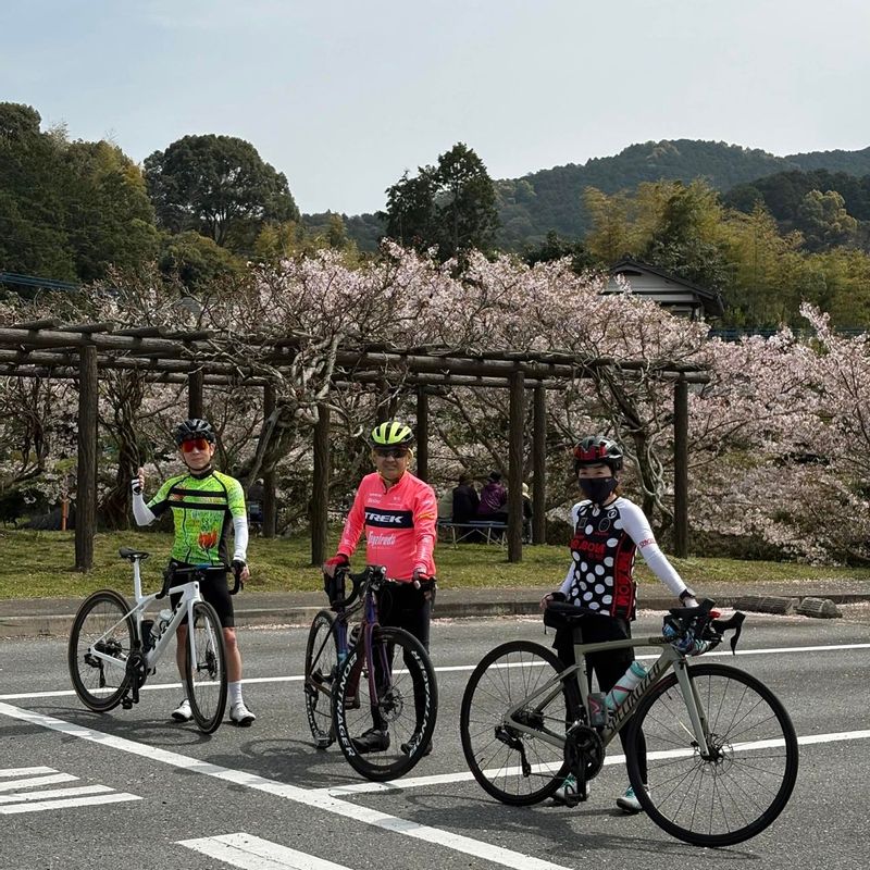 イワイスポーツサイクル
