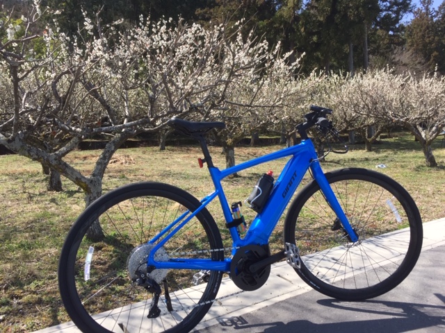 FASTROAD E+ 乗ってきたよ。 | ひとりごと弐型2nd impact | 自転車の