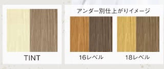 新色 オルディーブアディクシー Pale Line 新発売 新商品キャンペーン情報 北海道で美容ディーラや美容セミナーを提供している株式会社菊地